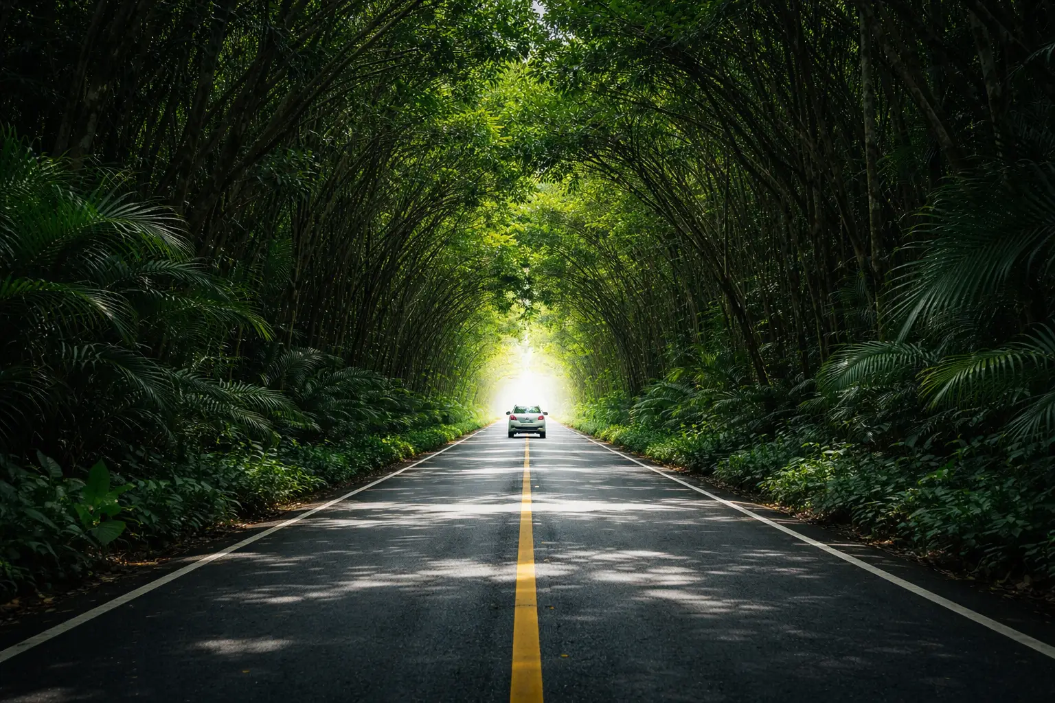 Route d'excursion dans la région du Yucatan